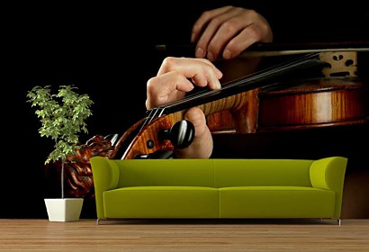 Fototapeta Violin Player 50