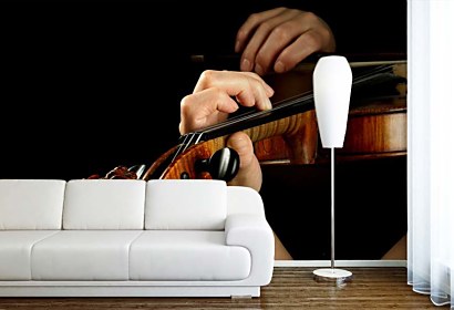 Fototapeta Violin Player 50