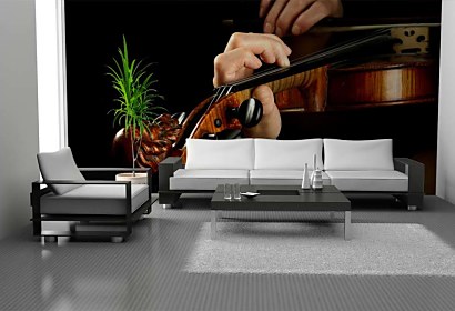 Fototapeta Violin Player 50