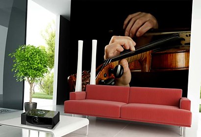 Fototapeta Violin Player 50