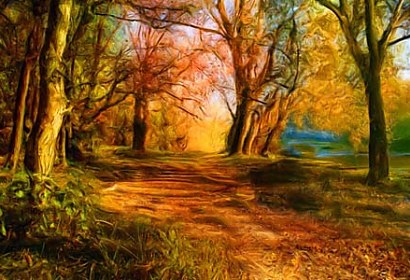Fototapeta Autumn 3269