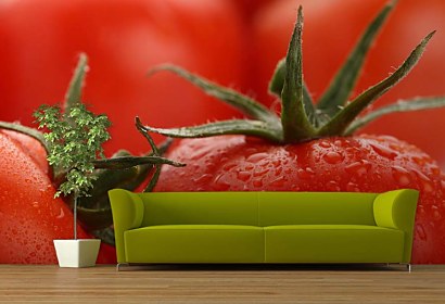 Fototapeta na kuchynskú zástenu Tomatoes