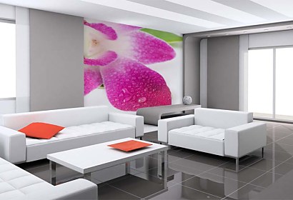 Fototapety na mieru s kvetom orchidey