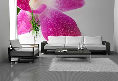 Cyklámenová tapeta na stenu s orchideou