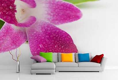 Luxusná tapeta do interiéru Cyklámenová Orchidea