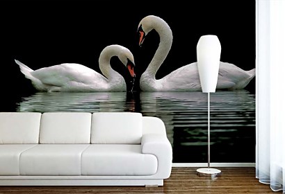 swans - fototapety