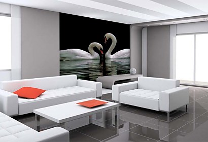 tapeta na stenu - swans