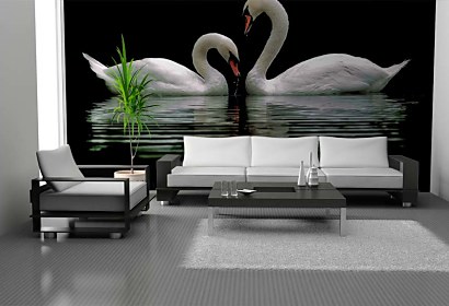 vodolepiace tapety - swans