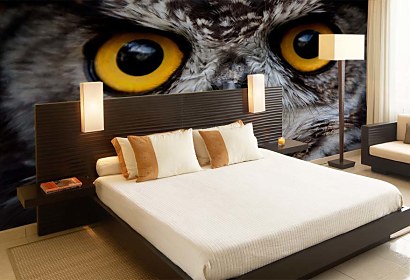 tapeta na mieru - owl