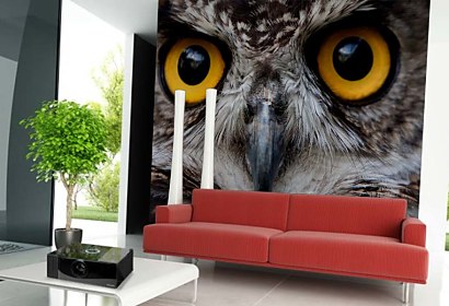 vliesová tapeta - owl