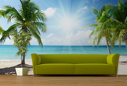 fototapety - palm beach