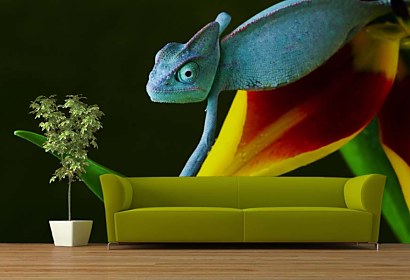 fototapeta s chameleónom