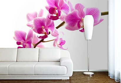 Fototapeta - Exotická orchidea 99