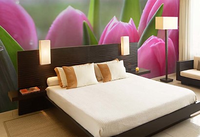 fototapeta - tulipány ružové