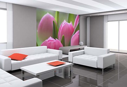 fototapeta - ružové tulipány