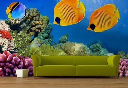 Fototapeta Aquarium 3199