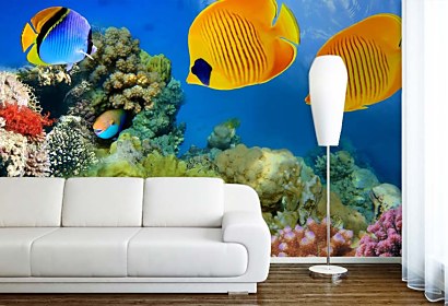 Fototapeta Aquarium 3199