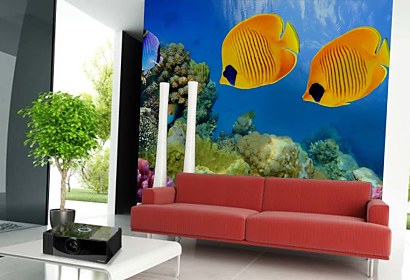 Fototapeta Aquarium 3199