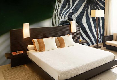Fototapeta Zebra 119