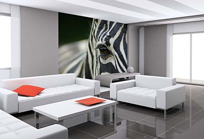 Fototapeta Zebra 119