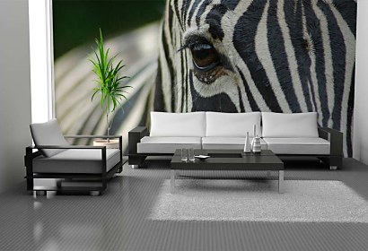 Fototapeta Zebra 119