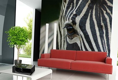 Fototapeta Zebra 119