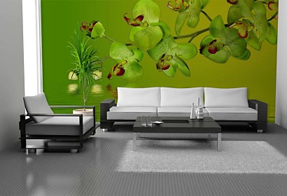 veľkoplošná tapeta s orchideou