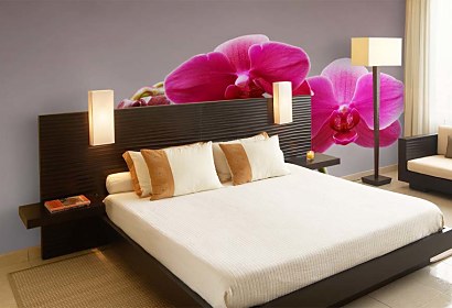 Fototapeta Pink Orchid 3146