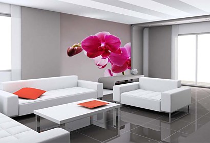 Fototapeta Pink Orchid 3146