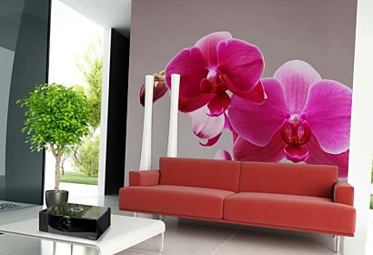Fototapeta Pink Orchid 3146