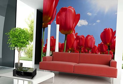Fototapeta - Červené tulipány 89