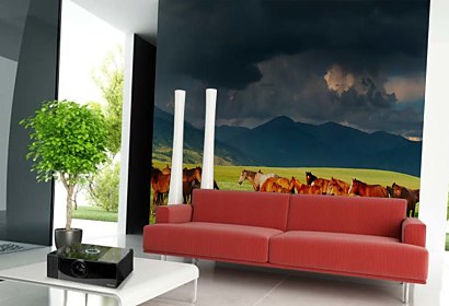 Fototapeta Divoké kone 4472