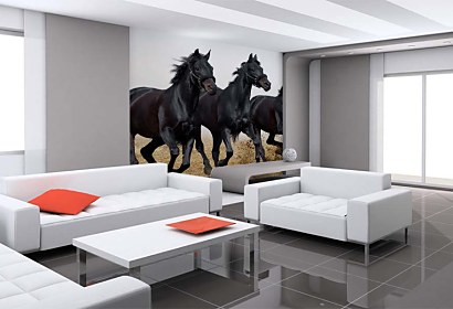 fototapety na stenu - horses