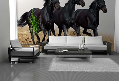 Fototapeta Horses 116