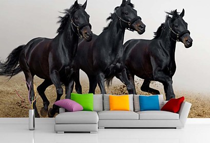 fototapety na mieru - horses