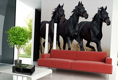 vinylové fototapety - horses