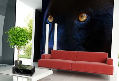 Fototapeta Čierny panter 3155