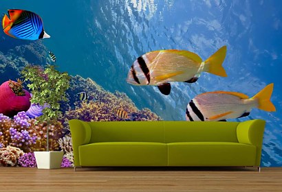 Fototapeta Sea Life 131