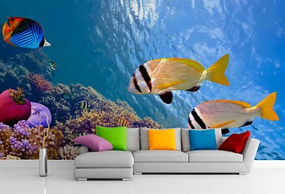 Fototapeta Sea Life 131