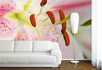 Fototapeta Flower design 18585
