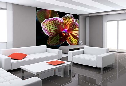 Fototapeta Kvet Orchidey 3132
