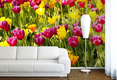 Fototapeta Tulip Garden 18633