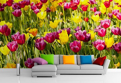 Fototapeta Tulip Garden 18633