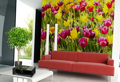 Fototapeta Tulip Garden 18633