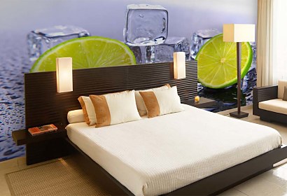 Fototapeta Lime and Ice 371
