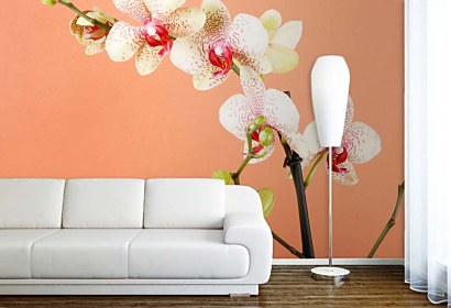 Fototapeta s orchideou 18516