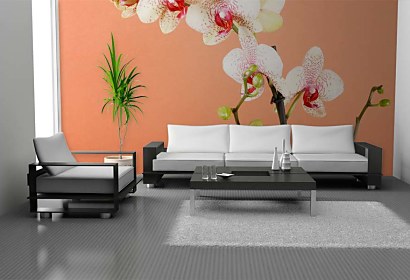 Fototapeta s orchideou 18516