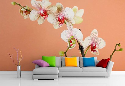 Fototapeta s orchideou 18516