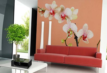 Fototapeta s orchideou 18516