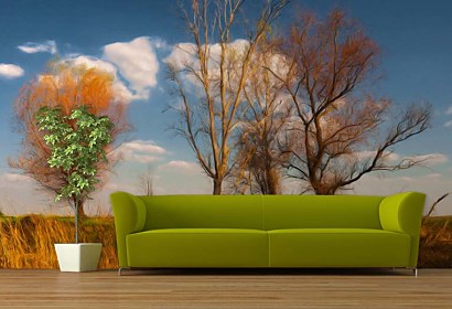 Fototapeta Autumn Landscape 3273
